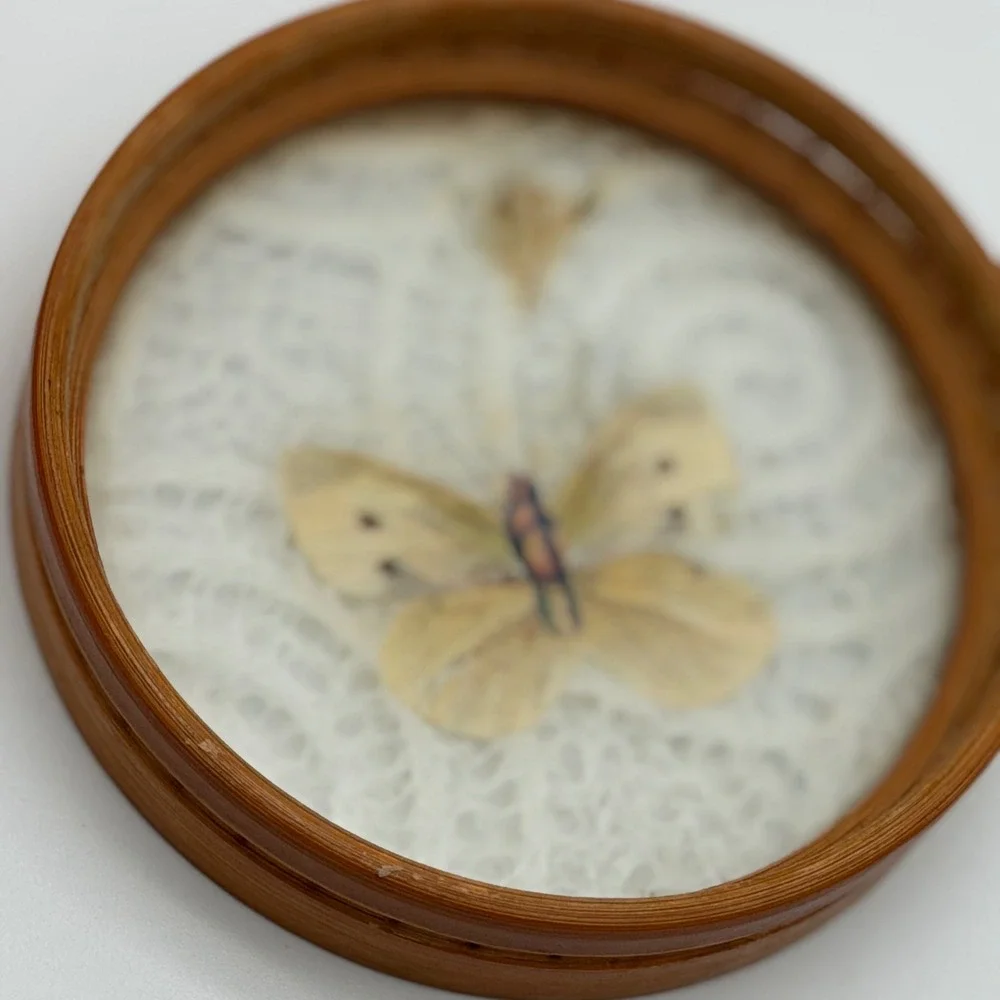 Vintage Bamboo Coasters Set of‎ 2 Pressed Butterfly Lace Inlay Glass Round 4in